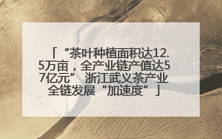 “茶叶种植面积达12.5万亩，全产业链产值达57亿元” 浙江武义茶产业全链发展“加速度”