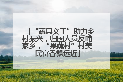 “蔬果义工”助力乡村振兴，归国人员反哺家乡，“果蔬村”村美民富香飘远近