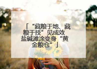“藏粮于地、藏粮于技”见成效 盐碱滩涂变身“黄金粮仓”