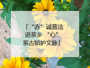 “赤”诚普法进茶乡 “心”系古镇护文脉