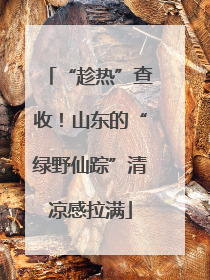 “趁热”查收！山东的“绿野仙踪”清凉感拉满