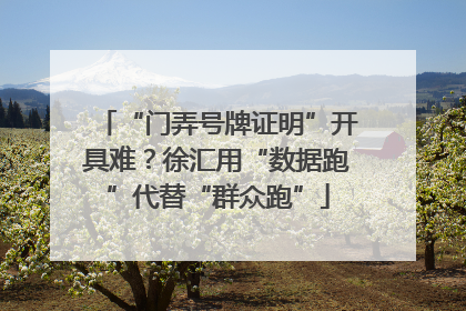 “门弄号牌证明”开具难？徐汇用“数据跑”代替“群众跑”