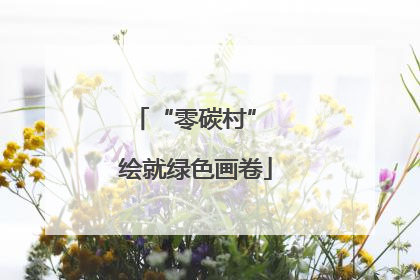 “零碳村” 绘就绿色画卷