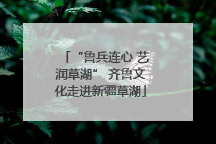 “鲁兵连心 艺润草湖” 齐鲁文化走进新疆草湖