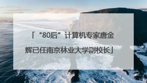 “80后”计算机专家唐金辉已任南京林业大学副校长