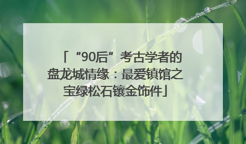 “90后”考古学者的盘龙城情缘：最爱镇馆之宝绿松石镶金饰件