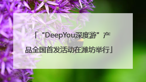 “DeepYou深度游”产品全国首发活动在潍坊举行