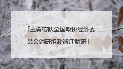 王勇带队全国政协经济委员会调研组赴浙江调研