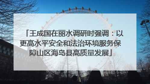 王成国在丽水调研时强调：以更高水平安全和法治环境服务保障山区海岛县高质量发展