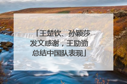 王楚钦、孙颖莎发文感谢，王励勤总结中国队表现