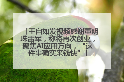 王自如发视频感谢董明珠雷军，称将再次创业，聚焦AI应用方向，“这件事确实来钱快”