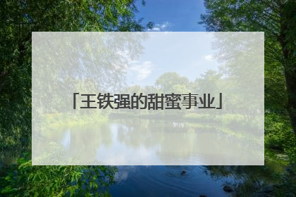 王铁强的甜蜜事业