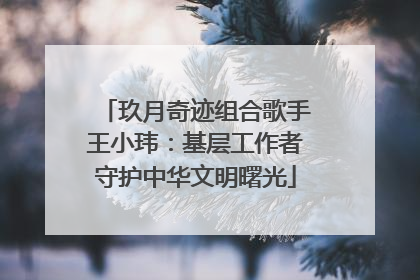 玖月奇迹组合歌手王小玮：基层工作者守护中华文明曙光