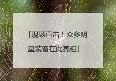 现场直击！众多明星装备在此亮相