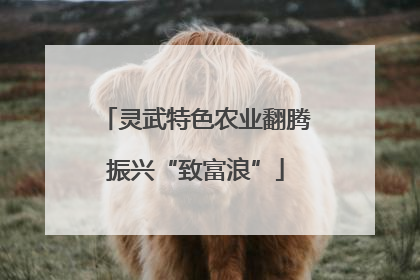 灵武特色农业翻腾振兴“致富浪”
