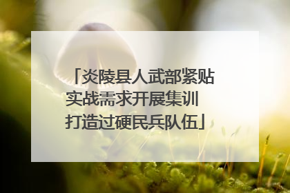 炎陵县人武部紧贴实战需求开展集训 打造过硬民兵队伍