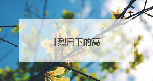 烈日下的高速守护者