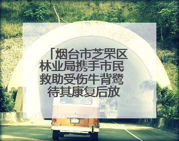 烟台市芝罘区林业局携手市民救助受伤牛背鹭 待其康复后放归自然