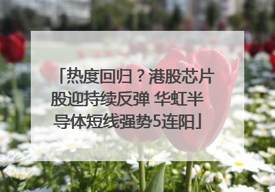 热度回归？港股芯片股迎持续反弹 华虹半导体短线强势5连阳