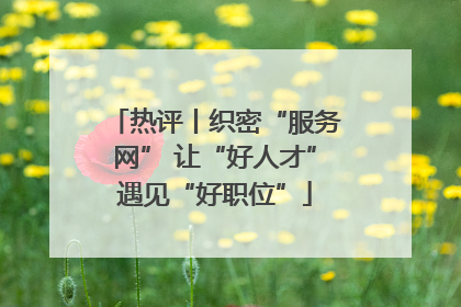热评丨织密“服务网” 让“好人才”遇见“好职位”