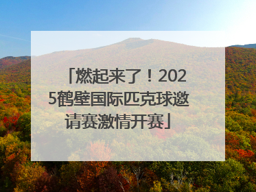 燃起来了！2025鹤壁国际匹克球邀请赛激情开赛