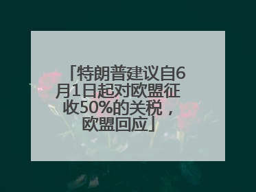 特朗普建议自6月1日起对欧盟征收50%的关税，欧盟回应