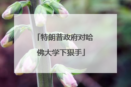 特朗普政府对哈佛大学下狠手