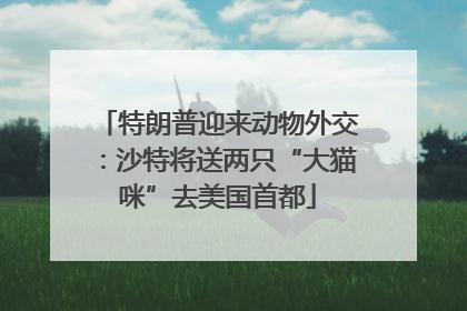 特朗普迎来动物外交：沙特将送两只“大猫咪”去美国首都