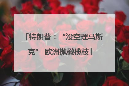 特朗普：“没空理马斯克” 欧洲抛橄榄枝