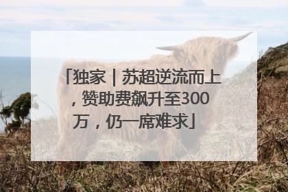 独家｜苏超逆流而上，赞助费飙升至300万，仍一席难求