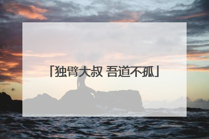 独臂大叔 吾道不孤