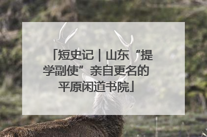 短史记｜山东“提学副使”亲自更名的平原闲道书院