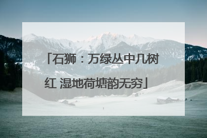石狮：万绿丛中几树红 湿地荷塘韵无穷