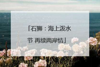 石狮：海上泼水节 再续两岸情