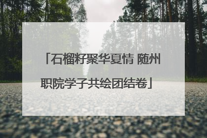 石榴籽聚华夏情 随州职院学子共绘团结卷