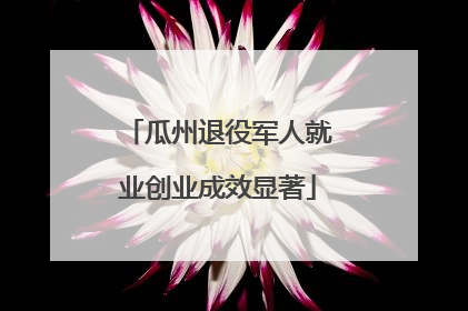 瓜州退役军人就业创业成效显著