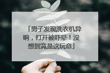 男子发现洗衣机异响，打开被吓晕！没想到竟是这玩意