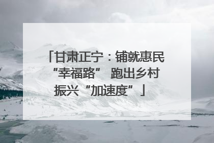 甘肃正宁：铺就惠民“幸福路” 跑出乡村振兴“加速度”