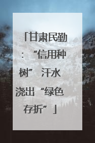 甘肃民勤：“信用种树” 汗水浇出“绿色存折”