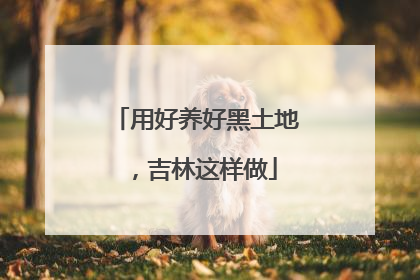 用好养好黑土地，吉林这样做