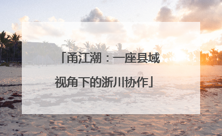 甬江潮：一座县域视角下的浙川协作