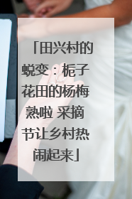 田兴村的蜕变：栀子花田的杨梅熟啦 采摘节让乡村热闹起来