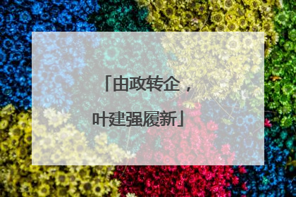 由政转企，叶建强履新