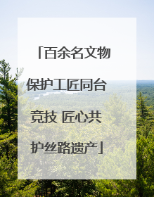 百余名文物保护工匠同台竞技 匠心共护丝路遗产