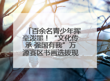 百余名青少年挥毫泼墨！“文化传承 强国有我”万源赛区书画选拔现场精彩绝伦