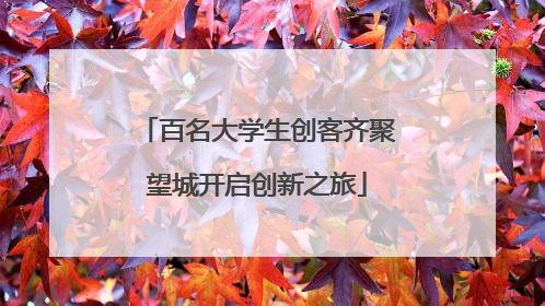 百名大学生创客齐聚望城开启创新之旅
