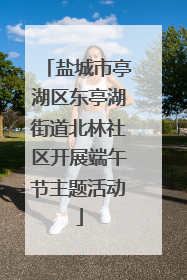 盐城市亭湖区东亭湖街道北林社区开展端午节主题活动