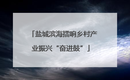 盐城滨海擂响乡村产业振兴“奋进鼓”