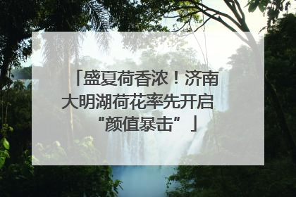 盛夏荷香浓！济南大明湖荷花率先开启“颜值暴击”