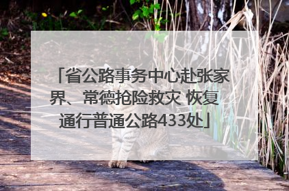 省公路事务中心赴张家界、常德抢险救灾 恢复通行普通公路433处